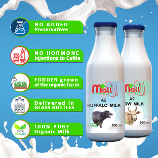 about-milk