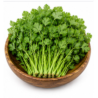 Coriander (Kothimeera)