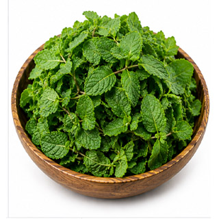 Mint (Pudina)
