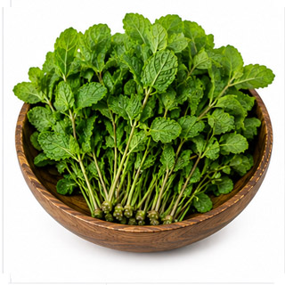 Mint (Pudina)