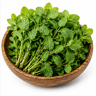 Mint (Pudina)